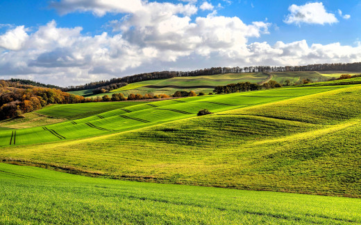 1752968 (a): :2144x1340